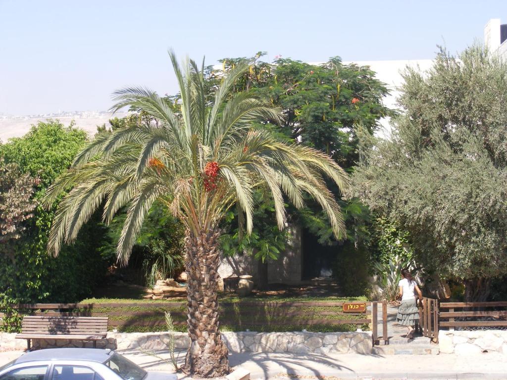 Nof Canaan Kfar Adumim Extérieur photo